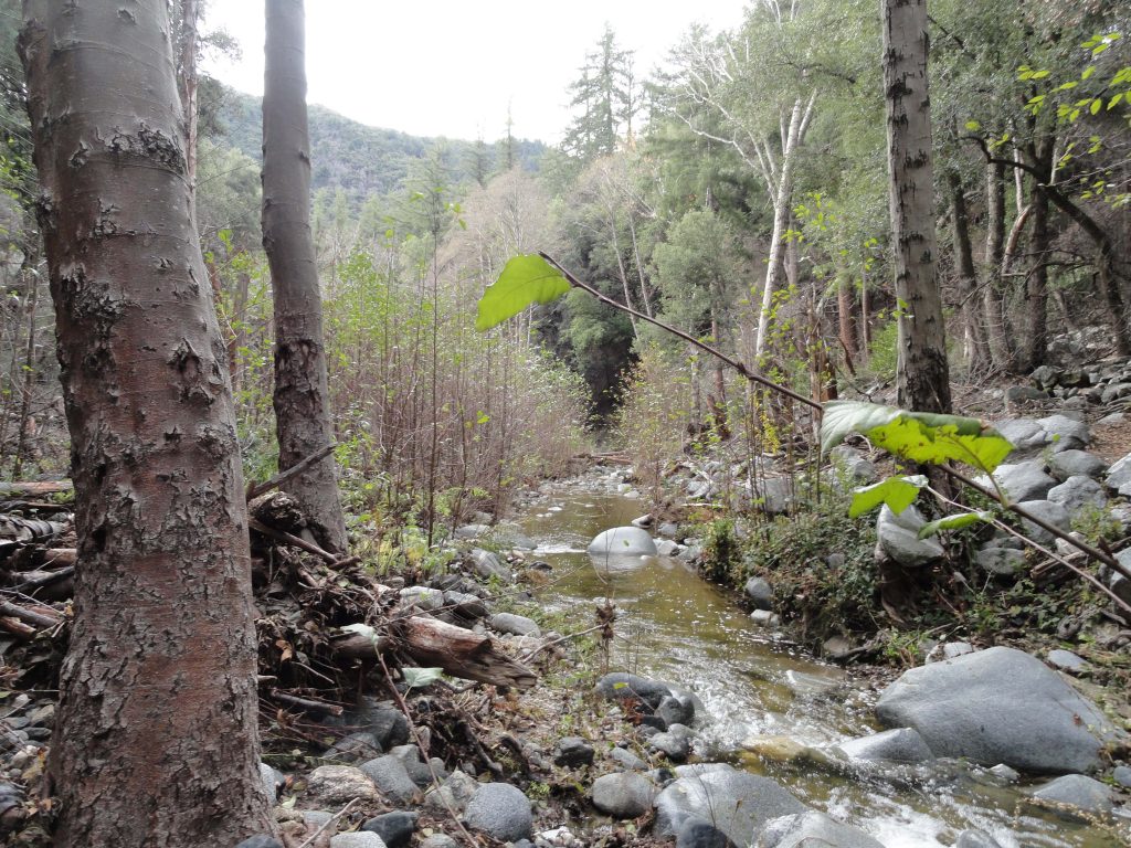 West Fork of the San Gabriel River Canyon Cartography